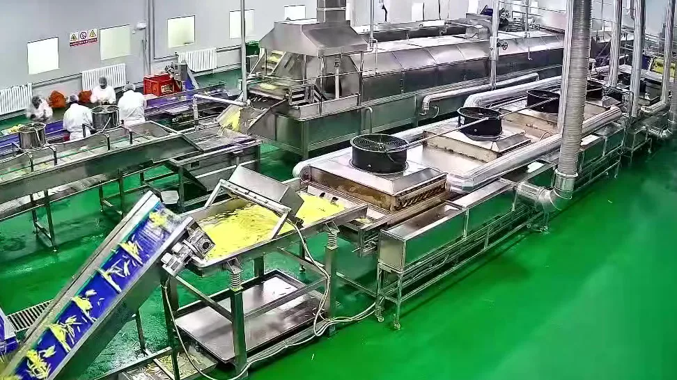 Junsheng Tiefkühl-Pommes Produktionslinie mit Edelstahlanlagen und Förderbändern in einer modernen Fabrik